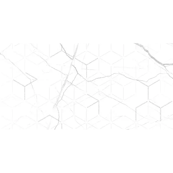 Декор керам. Siluet GT Бел. 50*25