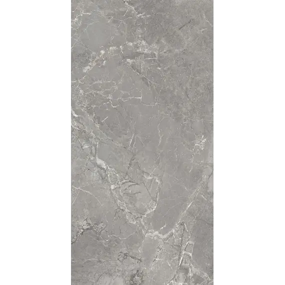 Керамогранит Magic_GT Серый  60x120 карвинг