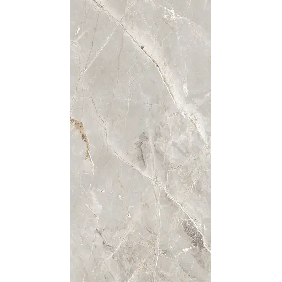 Керамогранит Tulip_GT Серый  полир.