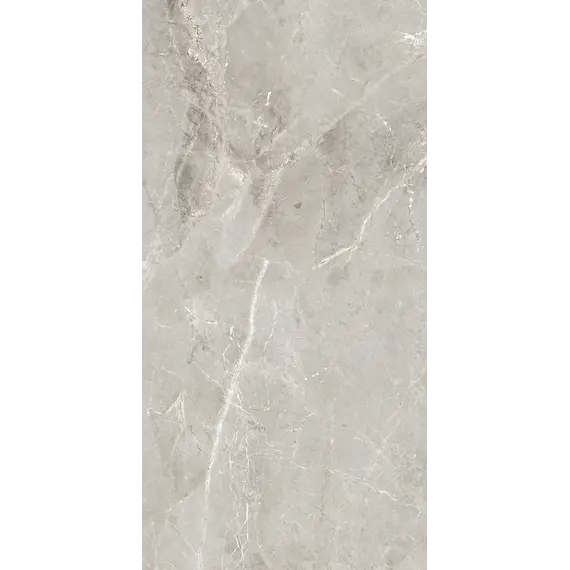 Керамогранит Tulip_GT Серый  полир.