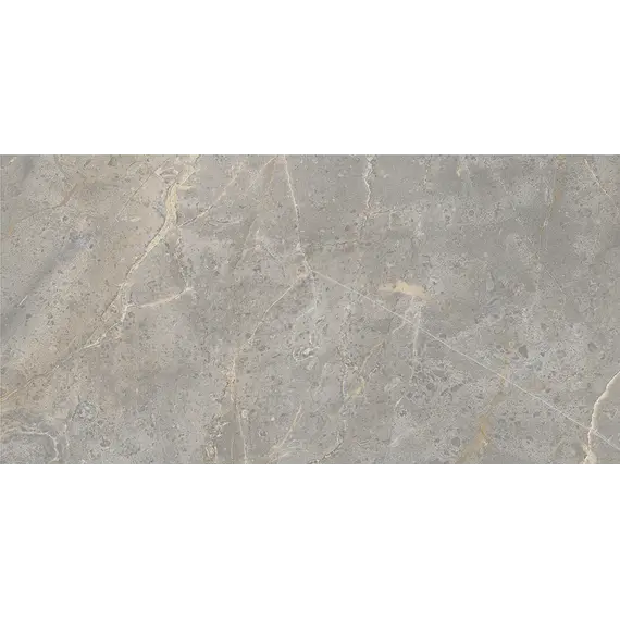 Настенная плитка Spring_GT Серый  30x60