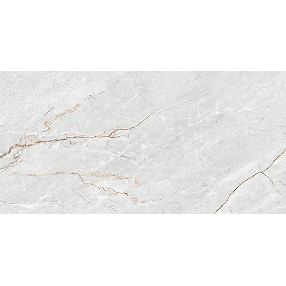 Плитка облиц. Aventura GT Серый  50*25