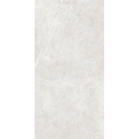 Плитка грес глаз. Bliss_GT Серый 60*60/60*120