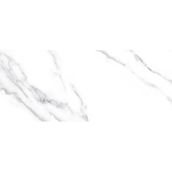 Плитка облиц. Anima Белый  60*25 (01)