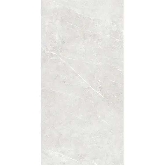 Плитка грес глаз. Bliss_GT Серый 60*60/60*120