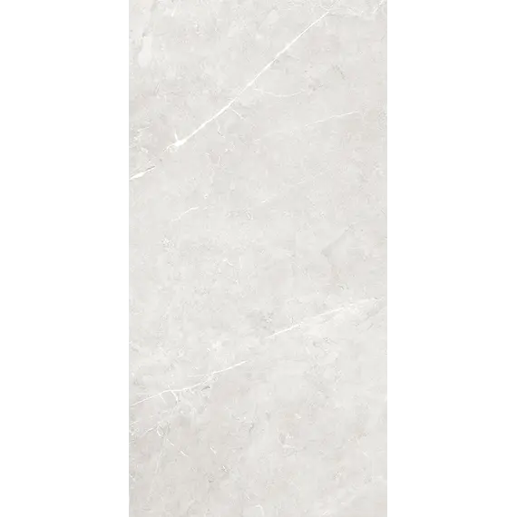 Плитка грес глаз. Bliss_GT Серый 60*60/60*120