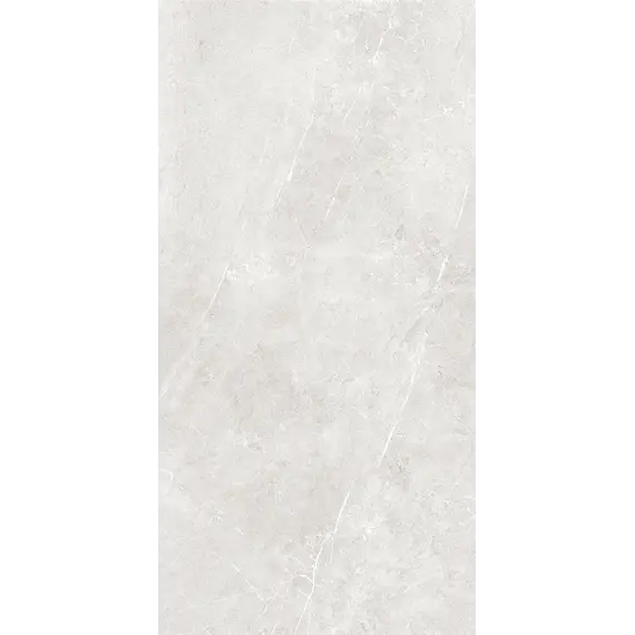 Плитка грес глаз. Bliss_GT Серый 60*60/60*120