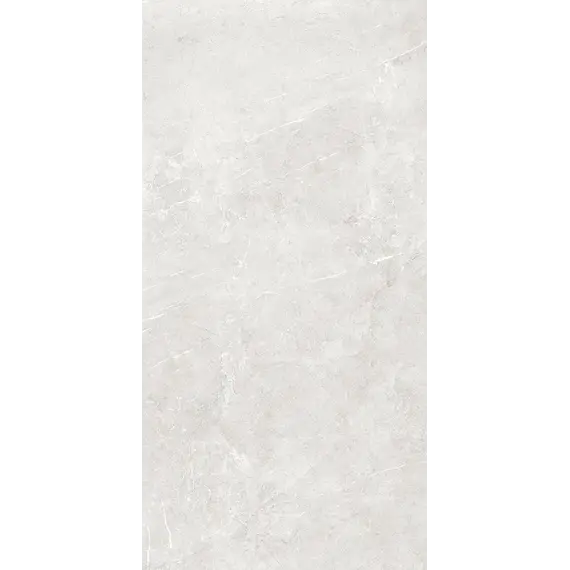 Плитка грес глаз. Bliss_GT Серый 60*60/60*120