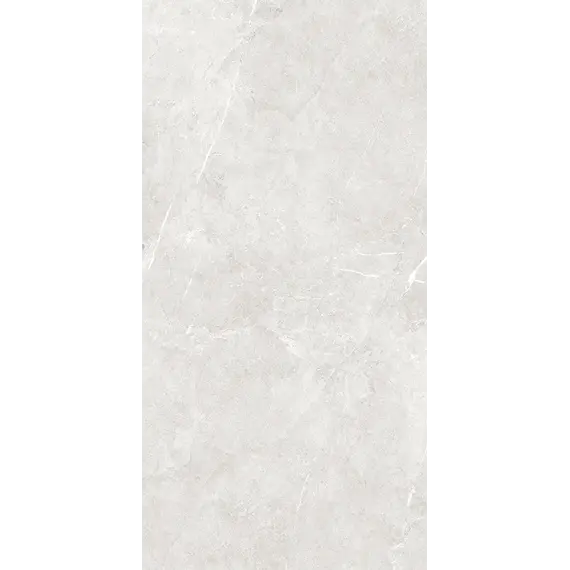 Плитка грес глаз. Bliss_GT Серый 60*60/60*120