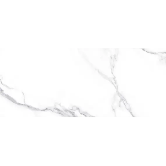 Плитка облиц. Anima Белый  60*25 (01)