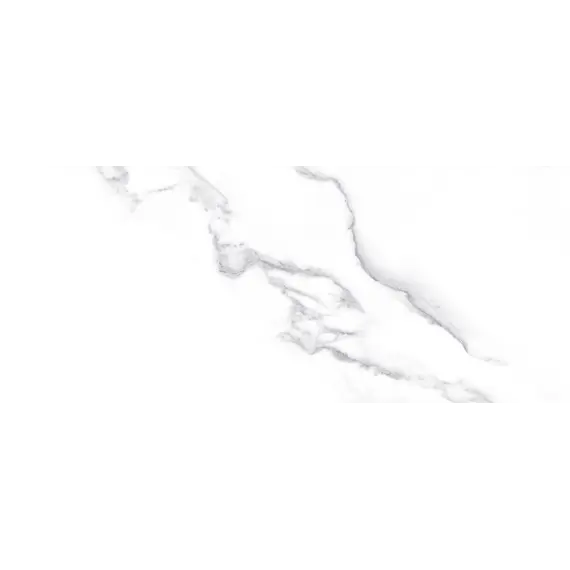 Плитка облиц. Anima Белый  60*25 (01)