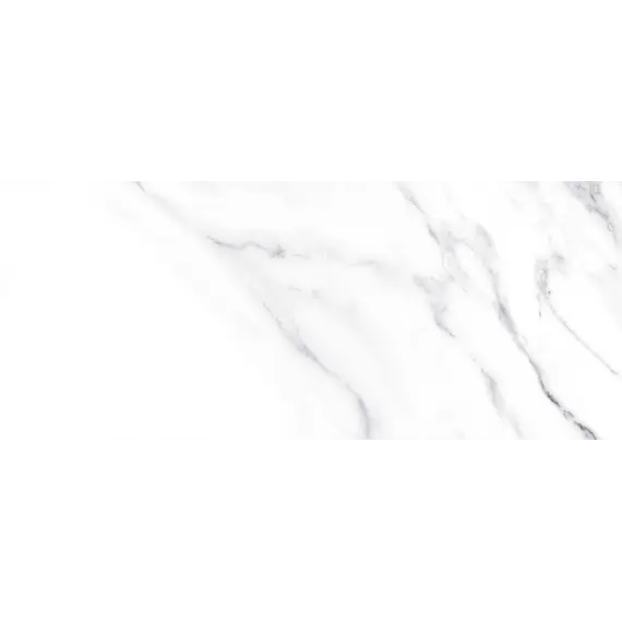 Плитка облиц. Anima Белый  60*25 (01)