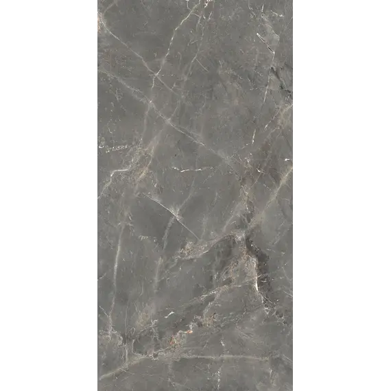 Керамогранит Tulip_GT Темно-серый  полир.