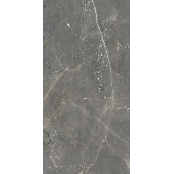 Керамогранит Tulip_GT Темно-серый  полир.