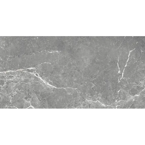 Плитка облиц. Capella GT Серый  50*25