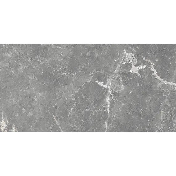 Плитка облиц. Capella GT Серый  50*25