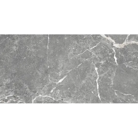 Плитка облиц. Capella GT Серый  50*25