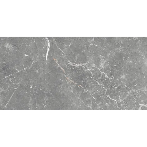 Плитка облиц. Capella GT Серый  50*25