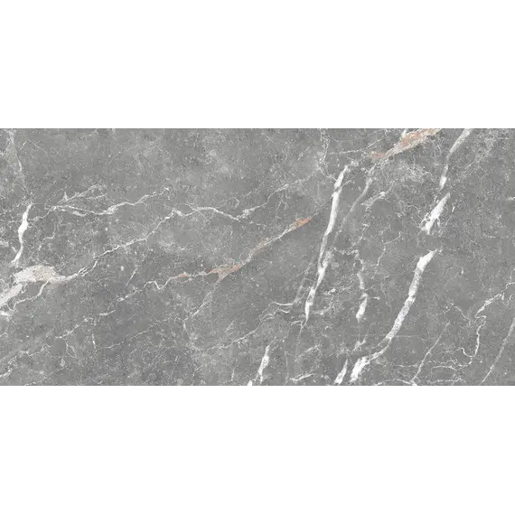 Плитка облиц. Capella GT Серый  50*25