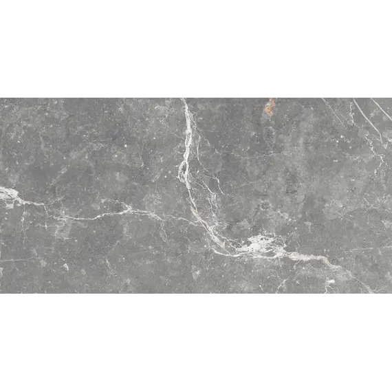 Плитка облиц. Capella GT Серый  50*25