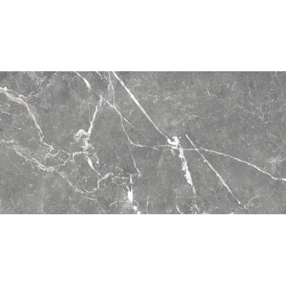 Плитка облиц. Capella GT Серый  50*25