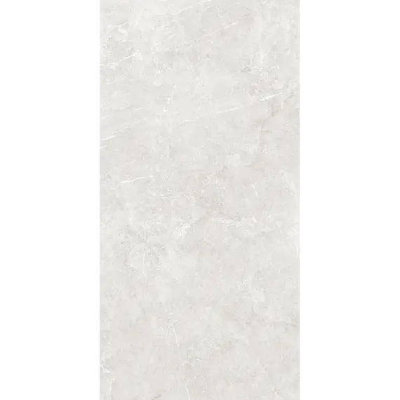 Плитка грес глаз. Bliss_GT Серый 60*60/60*120