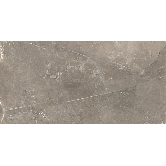 Плитка облиц. Siluet GT Коричневый  50*25