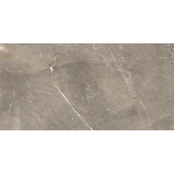 Плитка облиц. Siluet GT Коричневый  50*25