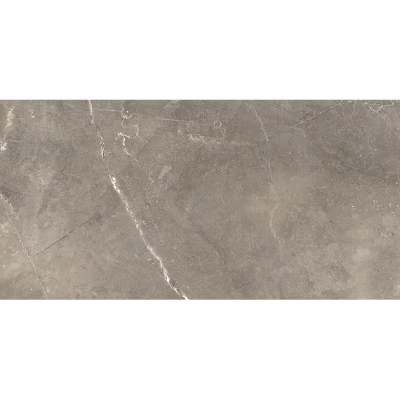 Плитка облиц. Siluet GT Коричневый  50*25