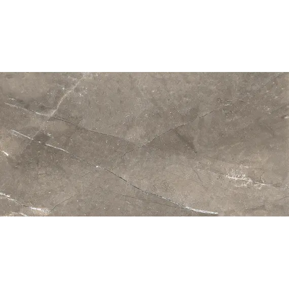 Плитка облиц. Siluet GT Коричневый  50*25