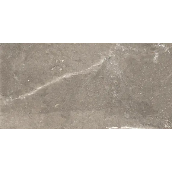 Плитка облиц. Siluet GT Коричневый  50*25