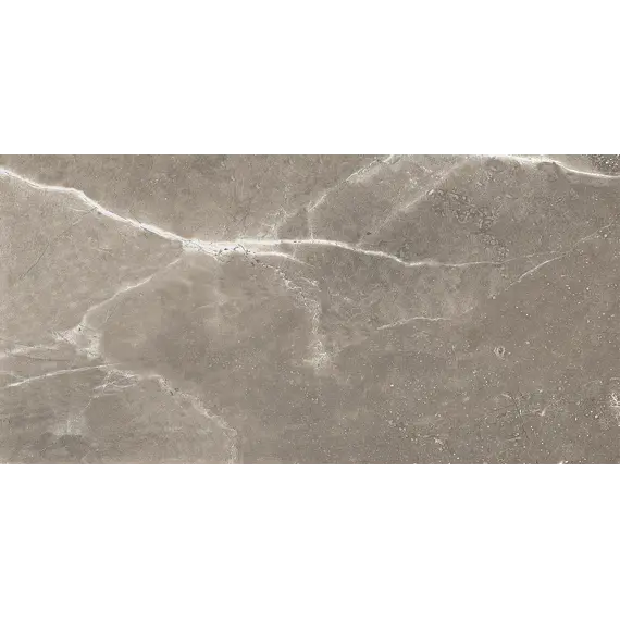 Плитка облиц. Siluet GT Коричневый  50*25