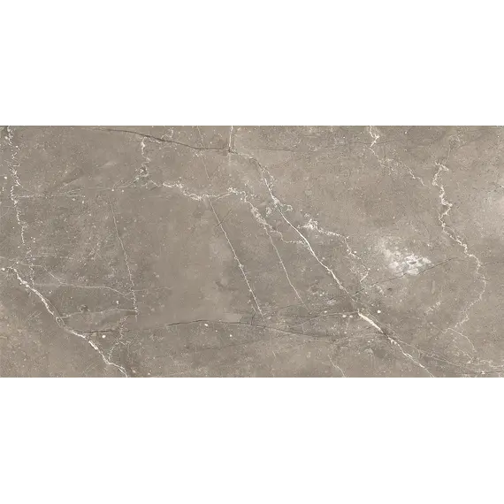 Плитка облиц. Siluet GT Коричневый  50*25