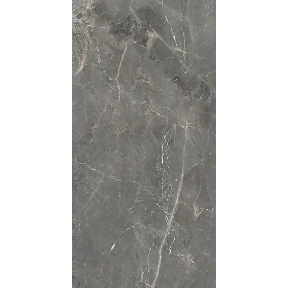 Керамогранит Tulip_GT Темно-серый  полир.