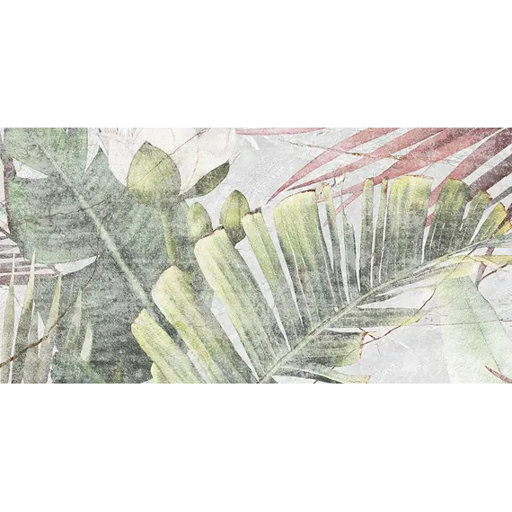 Плитка облиц. Aventura GT Серый  50*25 _тропики