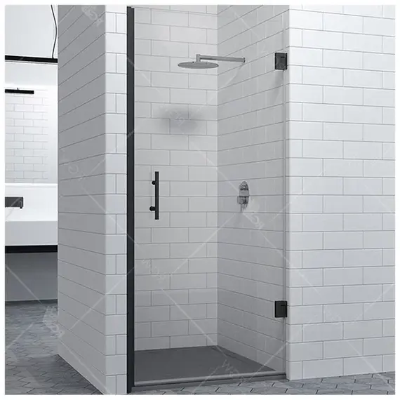 Душевая дверь RGW HO-011B