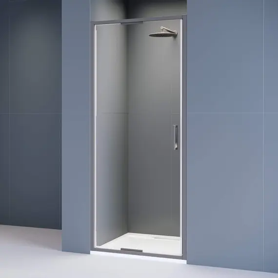 Душевая дверь RGW SV-05-Gr Серый/Прозрачное