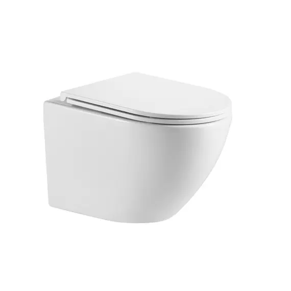 WW MERZBACH 041 XL GL-WT Унитаз подвесной