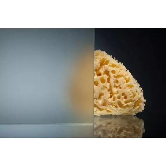 Душевая дверь Radomir Вита (матовая)