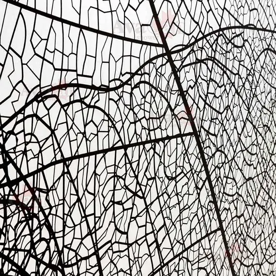 Душевая перегородка AvaCan MB100/110/120