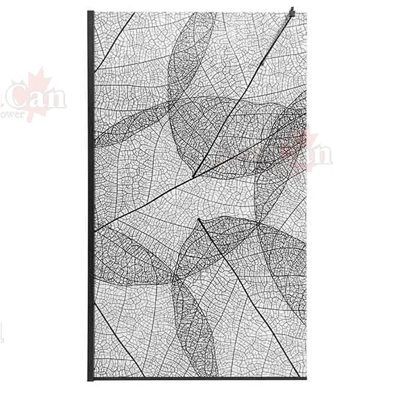 Душевая перегородка AvaCan MB100/110/120