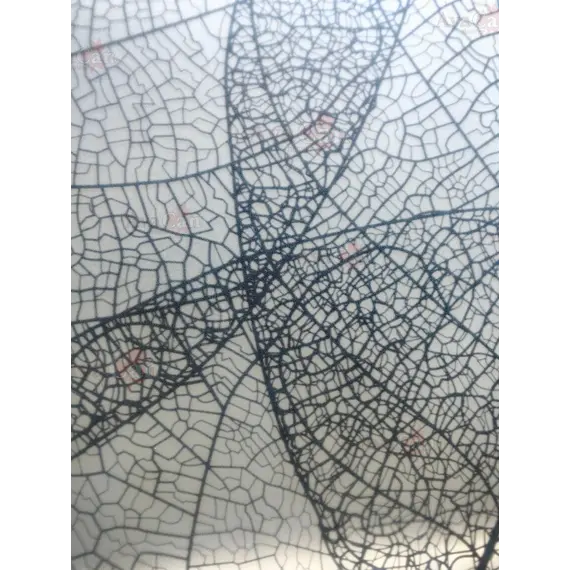 Душевой уголок AvaCan FB2 матовое с рисунком/черный