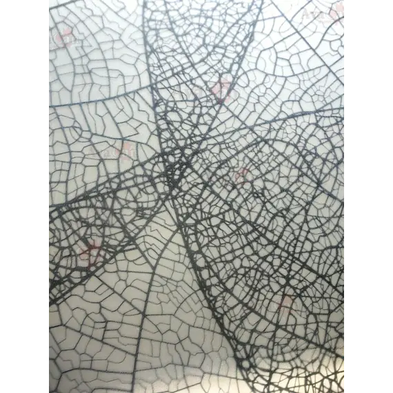 Душевой уголок AvaCan FB2 матовое с рисунком/черный