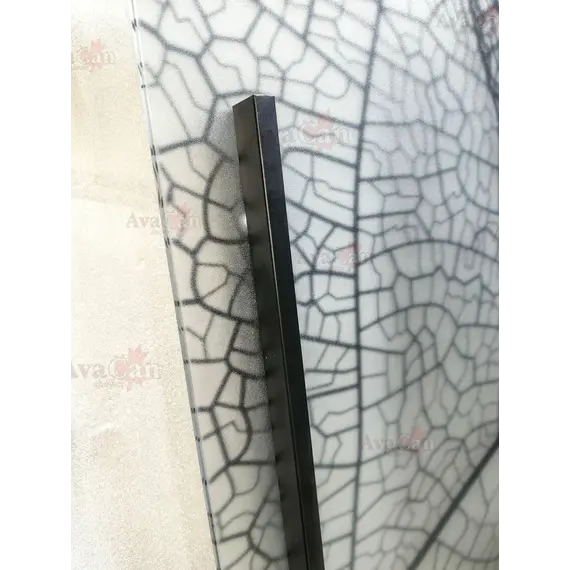 Душевая дверь в нишу AvaCan FB MT