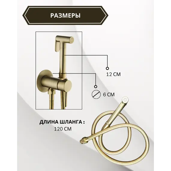 Душ гигиенический ACWEN 82003BG матовое золото