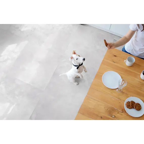 Плитка грес глаз. Vibe_GT Светло-серый  60*60/60*120