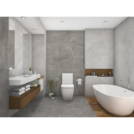 Плитка грес глаз. Bliss_GT Серый 60*60/60*120