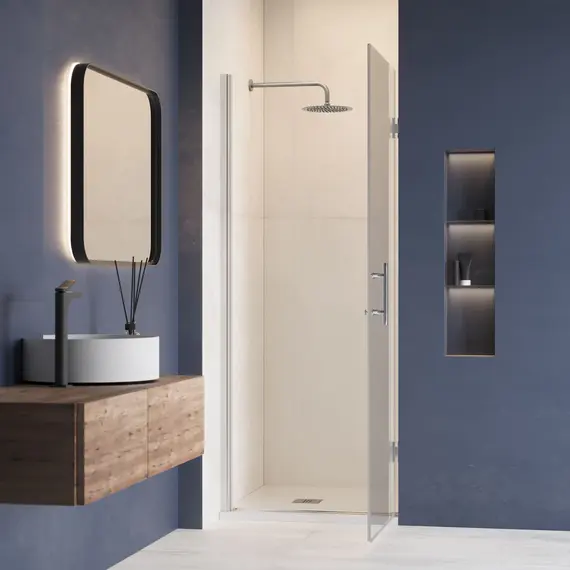 Душевая дверь RGW HO-011