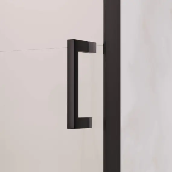 Душевая дверь RGW PA-008B