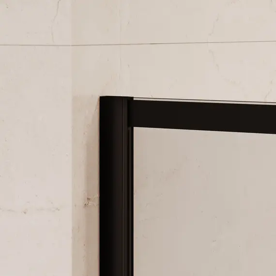 Душевая перегородка RGW WA-019B прозр. с рисунком/черный